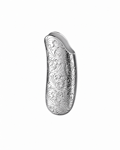 Curved Lighter Case